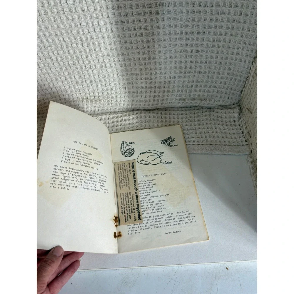 Vintage 1977 Sturgeon Bay Moravian Church Favorite Salad Recipes Book Pink OS